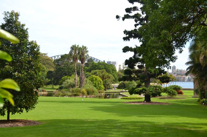  - Royal Botanic Gardens Sydney