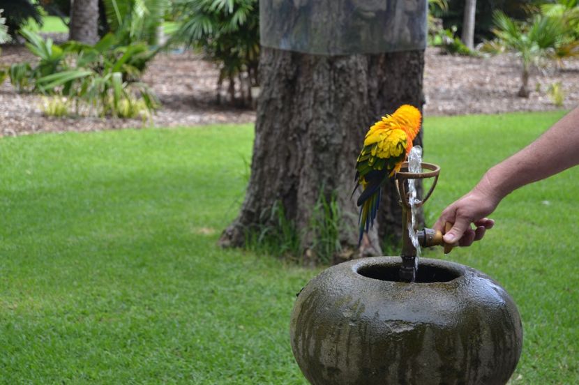  - Royal Botanic Gardens Sydney