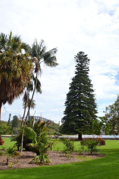  - Royal Botanic Gardens Sydney