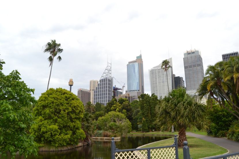  - Royal Botanic Gardens Sydney