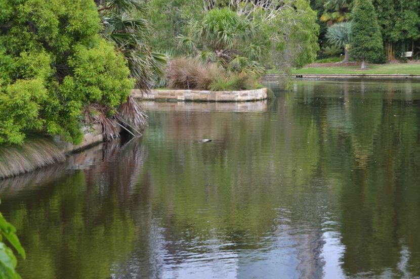  - Royal Botanic Gardens Sydney