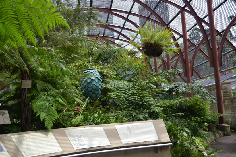 - Royal Botanic Gardens Sydney