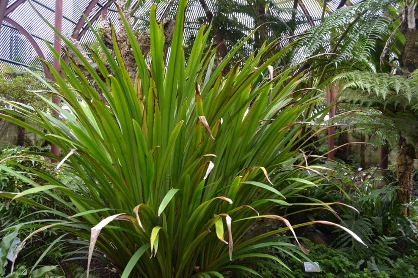  - Royal Botanic Gardens Sydney