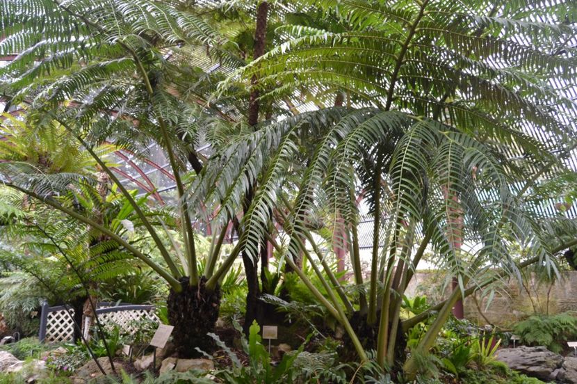  - Royal Botanic Gardens Sydney