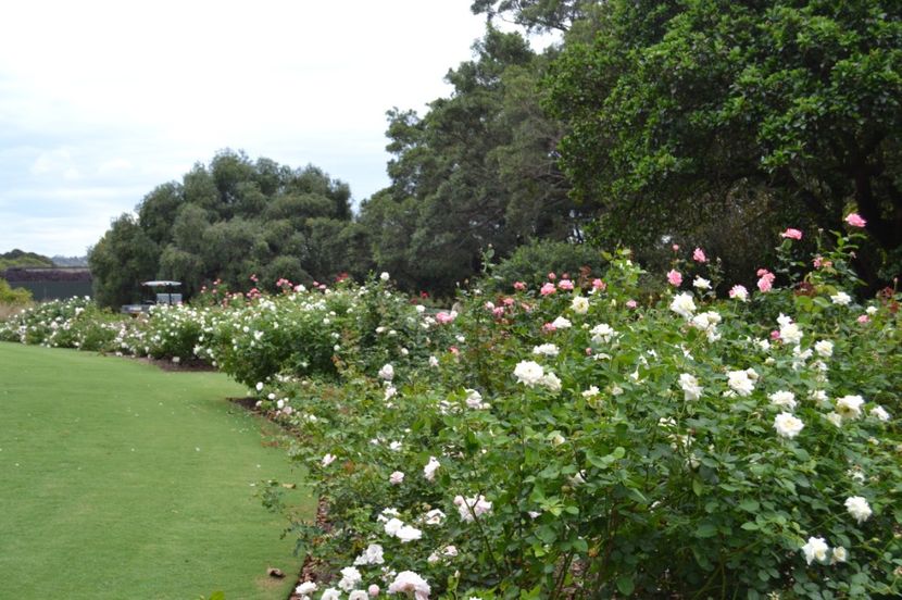  - Royal Botanic Gardens Sydney