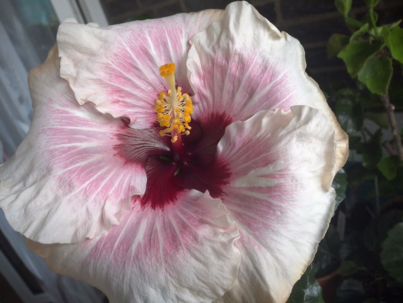 WIN_20170816_104653 - My Way