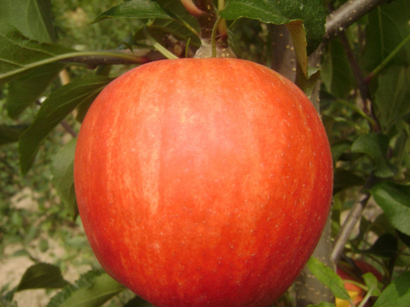 Mar de august 5 - Mar de august