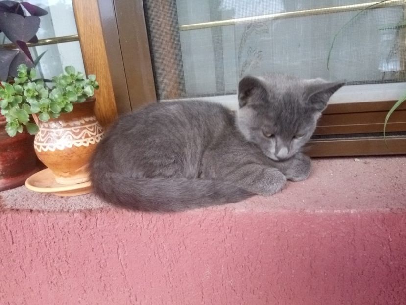 Dar mai bine... - Prieteni dragi