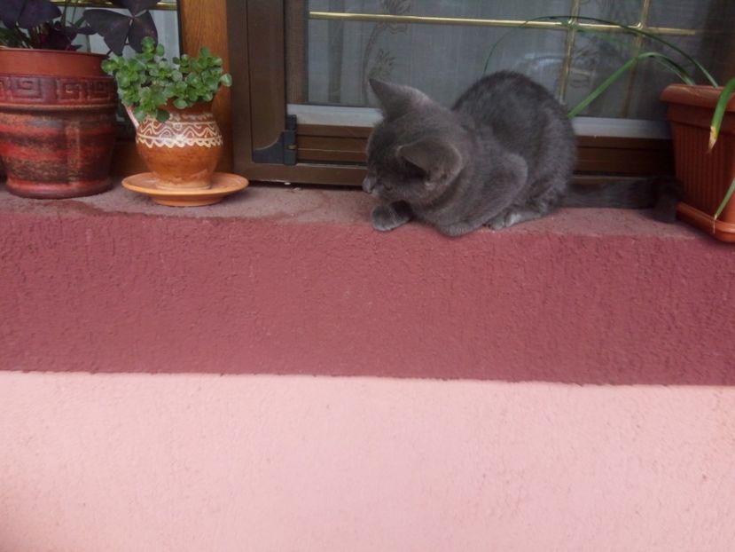 Mai bine, nu! - Prieteni dragi