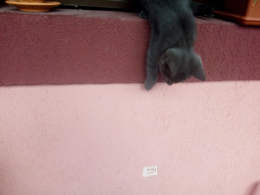 Hai, că m-am decis! - Prieteni dragi