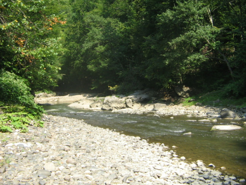  - Cheile Lăpușului