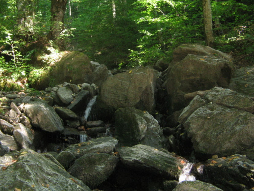  - Cheile Lăpușului