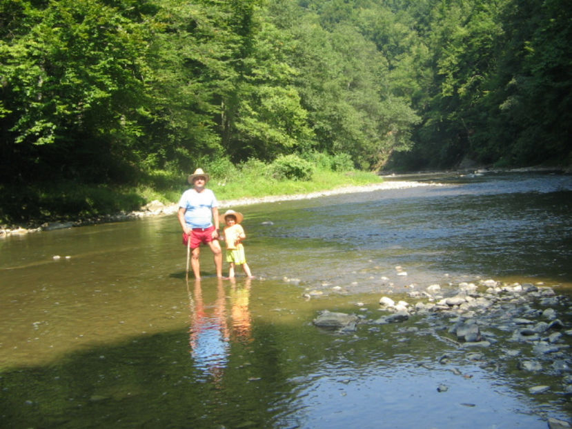  - Cheile Lăpușului