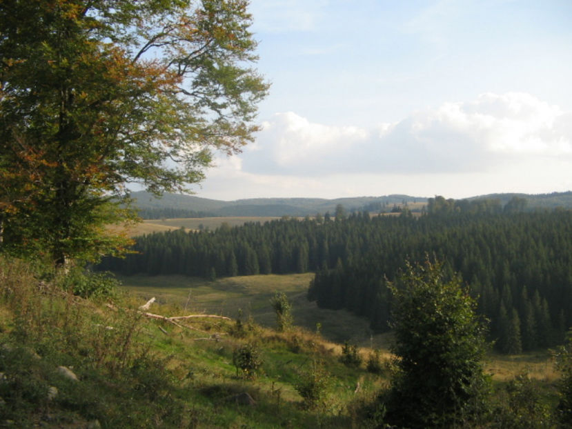  - Izvoare 2009 2