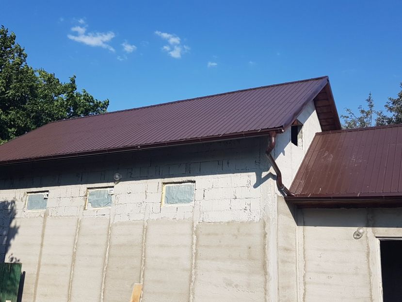 tencuim - 0----------------HALA IEPURI