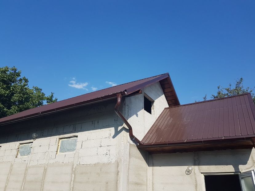 gata si acoperisul - 0----------------HALA IEPURI