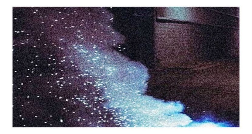 ●○ ρσѕтє∂ ση ₁₄. ₀₈. ₂₀₁₇. ❝ Ɗαу ₈₄ ❞ - Up all night - all night and every day