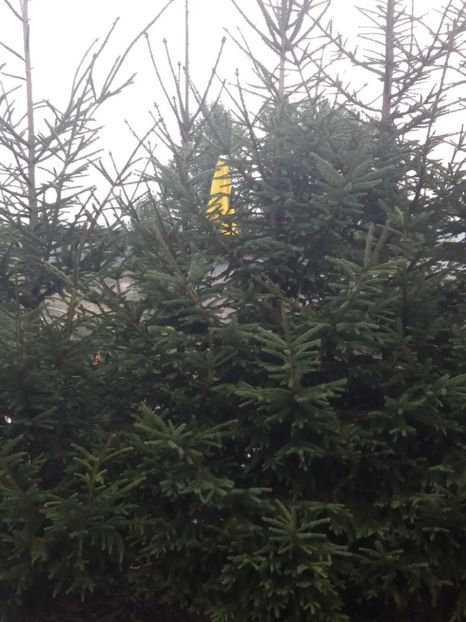  - Ocna Sibiului 2017