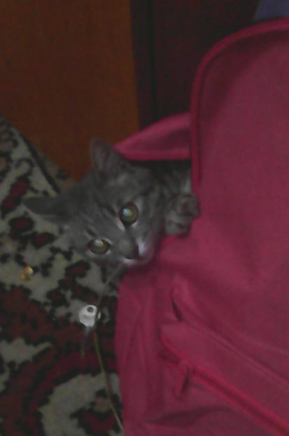 2016 (192) - 1 ALBUM PRIVAAQAAAAAAAAAT 1