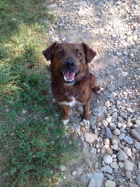 5 ani de viata - AAAA___BOBY