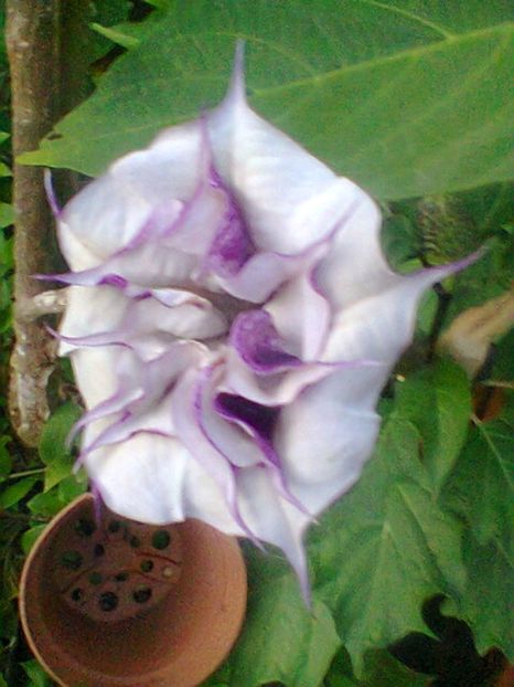 Fotogr.0447 - august 2017