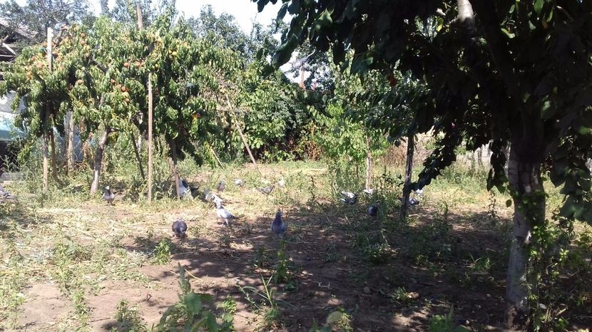  - asa ceva i-ti schimba starea