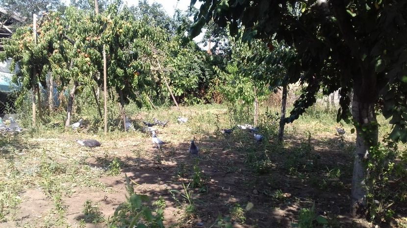  - asa ceva i-ti schimba starea