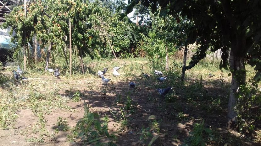  - asa ceva i-ti schimba starea