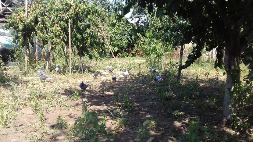  - asa ceva i-ti schimba starea