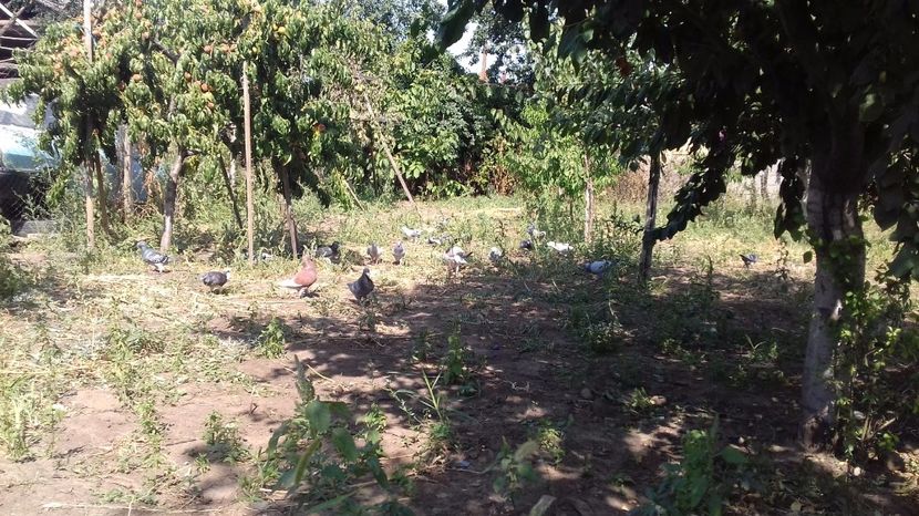  - asa ceva i-ti schimba starea