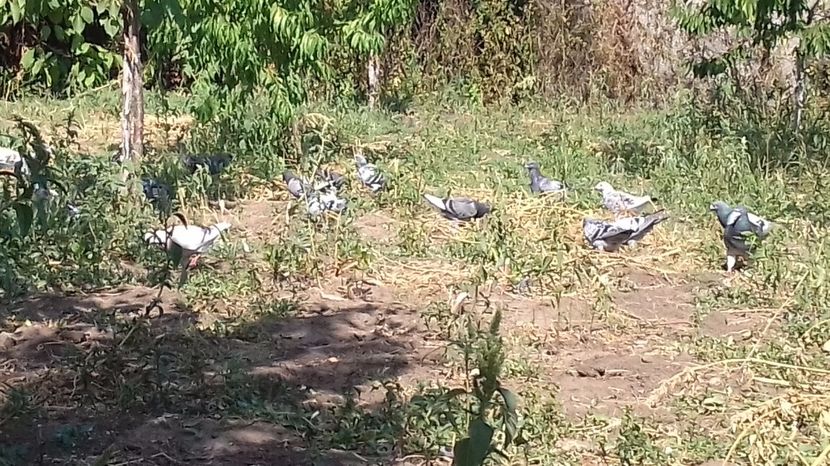  - asa ceva i-ti schimba starea