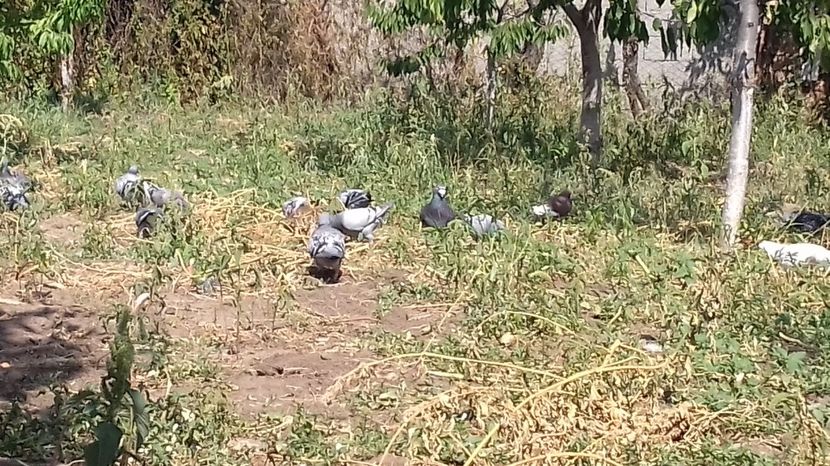  - asa ceva i-ti schimba starea