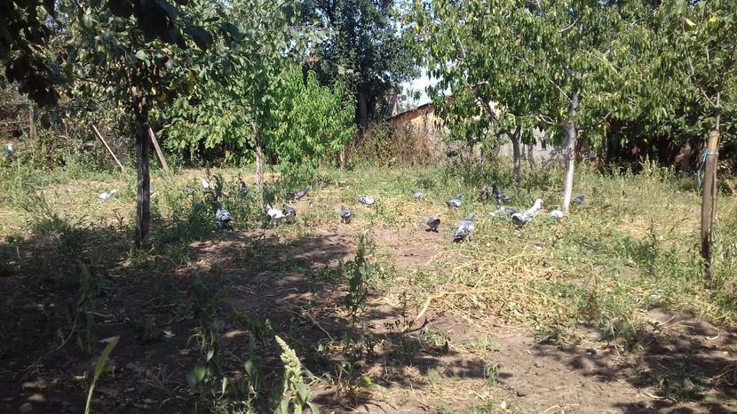  - asa ceva i-ti schimba starea