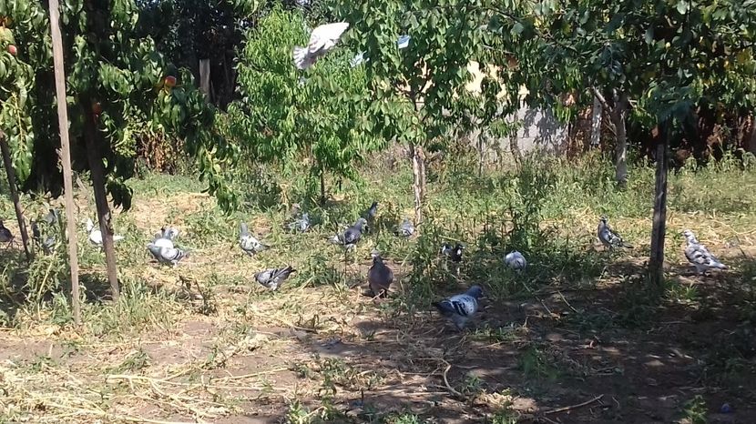  - asa ceva i-ti schimba starea