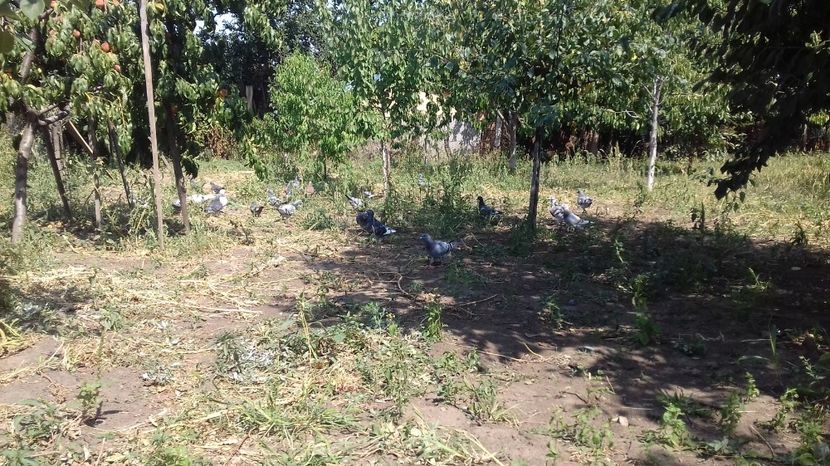  - asa ceva i-ti schimba starea