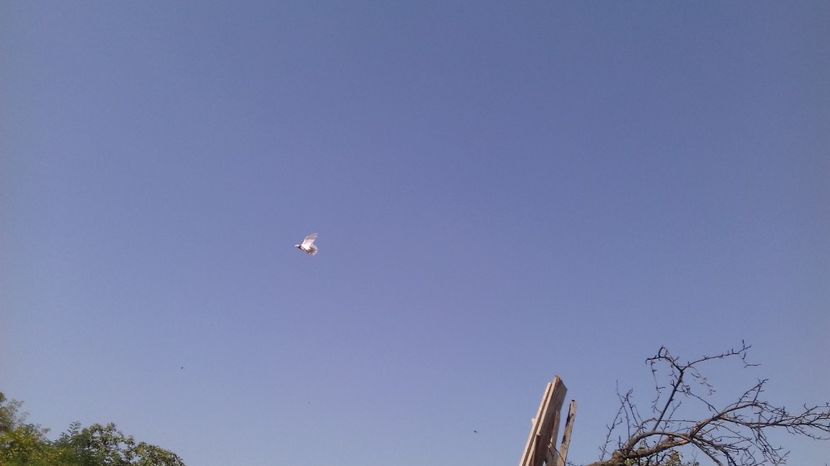  - asa ceva i-ti schimba starea