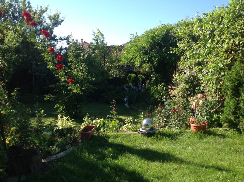  - Gradina de flori 2017