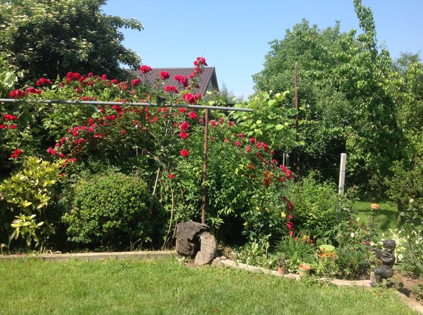  - Gradina de flori 2017