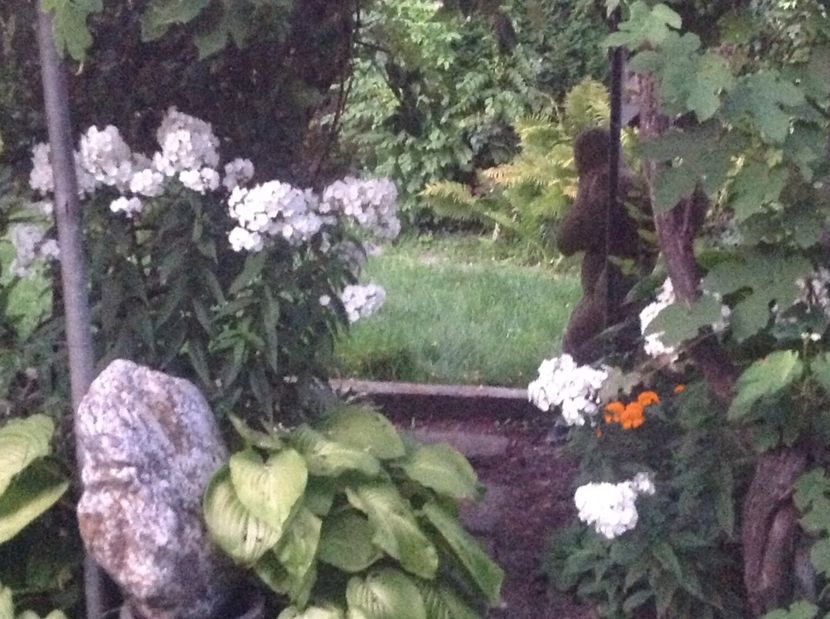  - De toate in gradina 2017