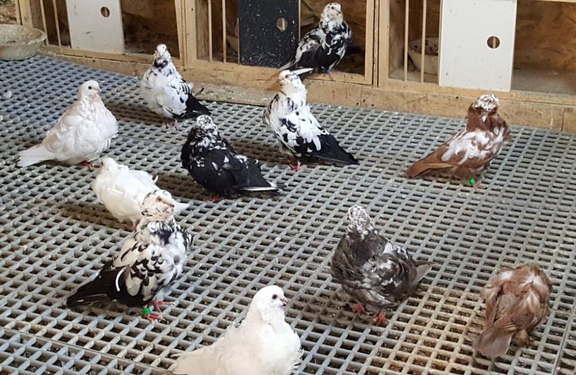  - 24_PESCARUSI CHINEZI TALIA MARE MATCA-2021