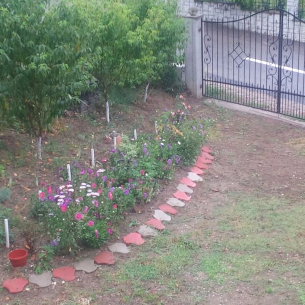  - gradina august 2017