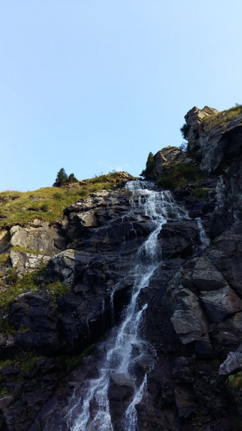  - pescuit la Dunavat 2017