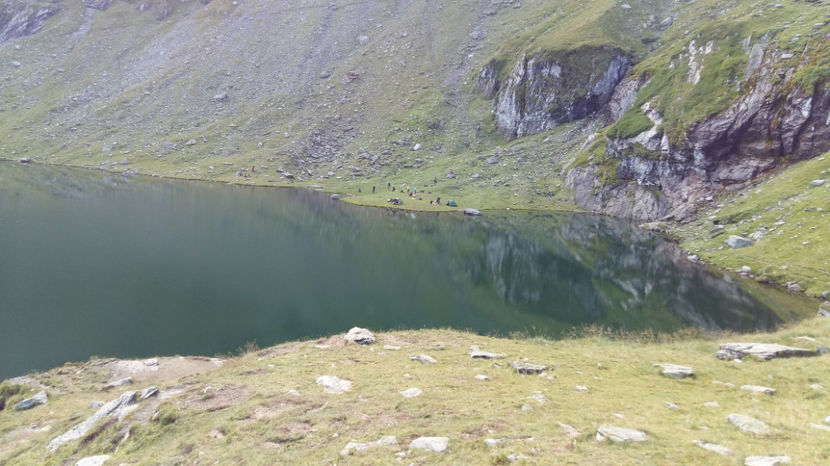  - pescuit la Dunavat 2017