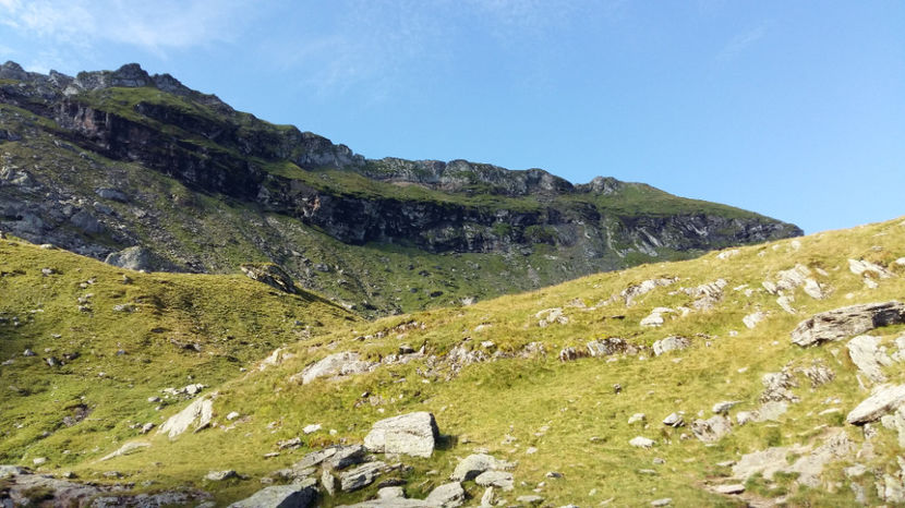  - pescuit la Dunavat 2017