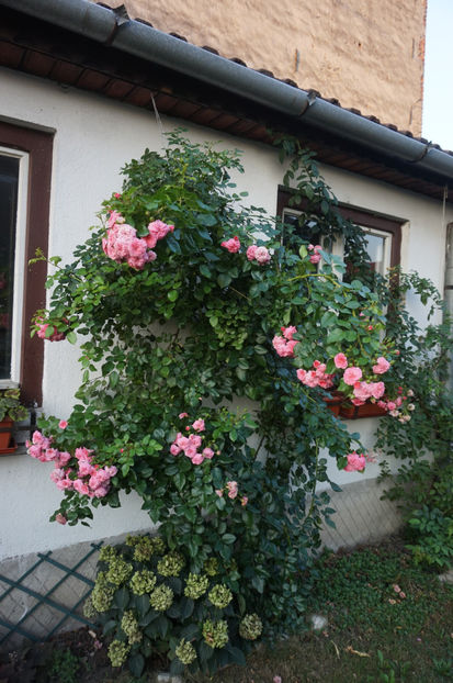  - Les Quatre Saisons