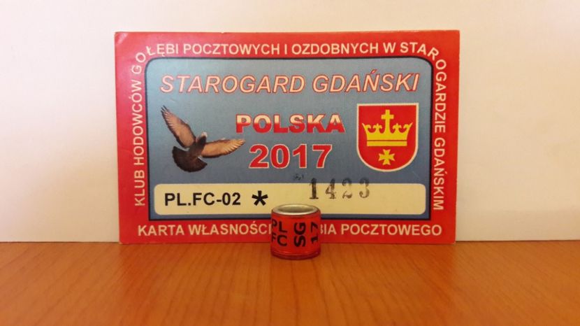 PL 17 FC SG - PL - FC-SG