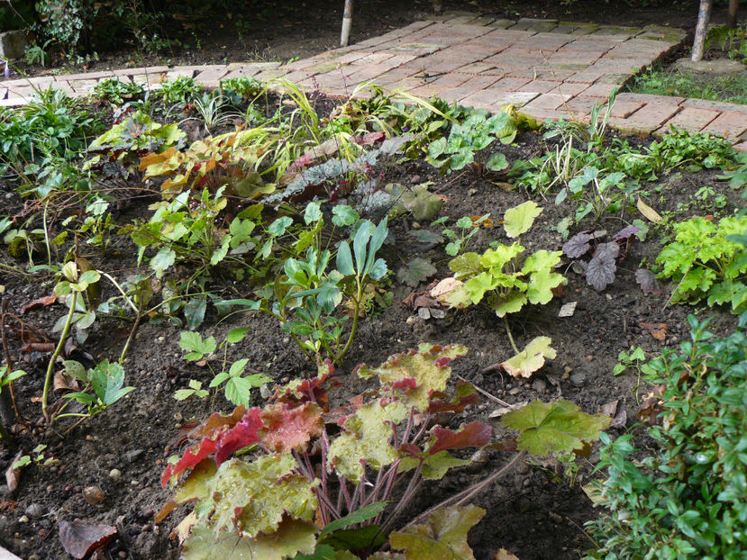 Heuchere - 2017 August