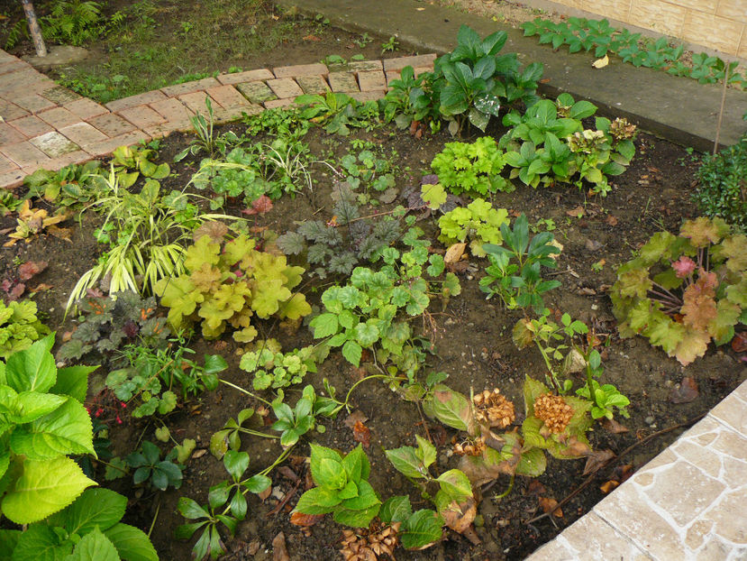 Heuchere - 2017 August