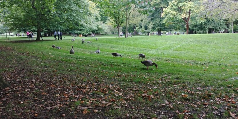  - LONDON 22 AUG 2017