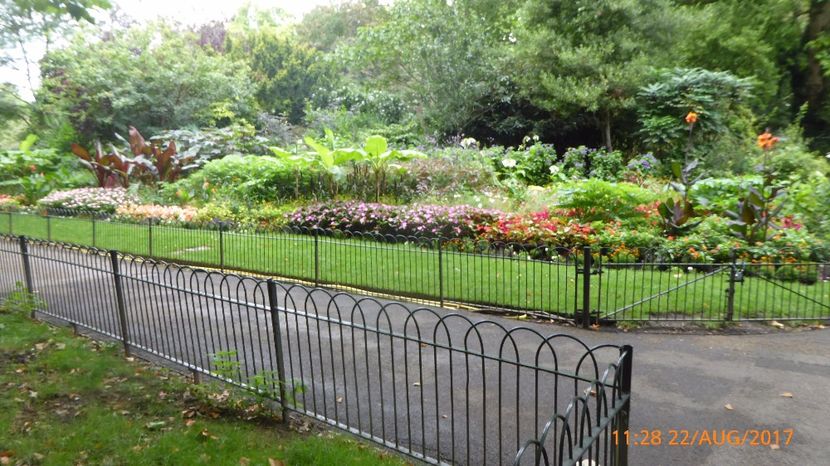 P1040416 - LONDON 22 AUG 2017